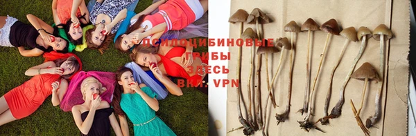 шишки Сафоново