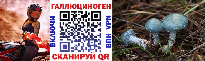 Псилоцибиновые грибы Psilocybine cubensis  купить наркотик  Балашов 